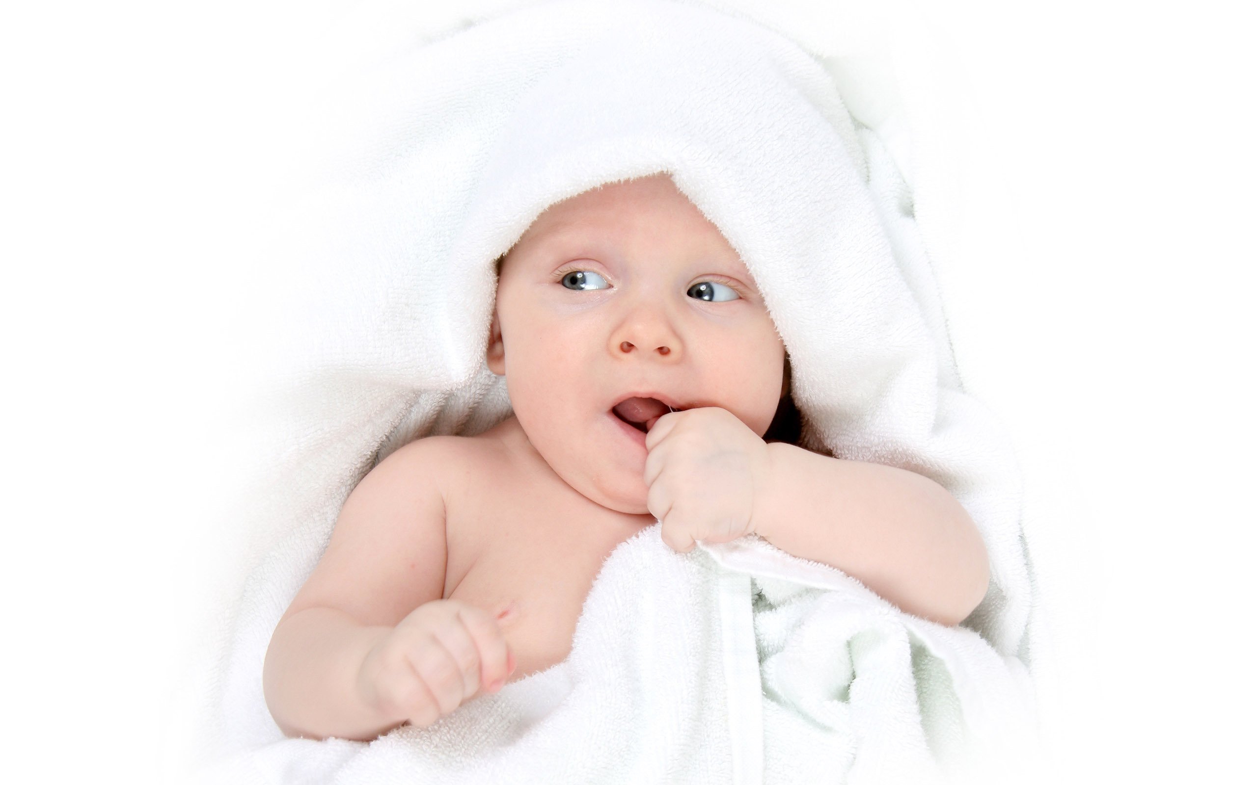 泰州捐卵子电话试管婴儿第二代成功率